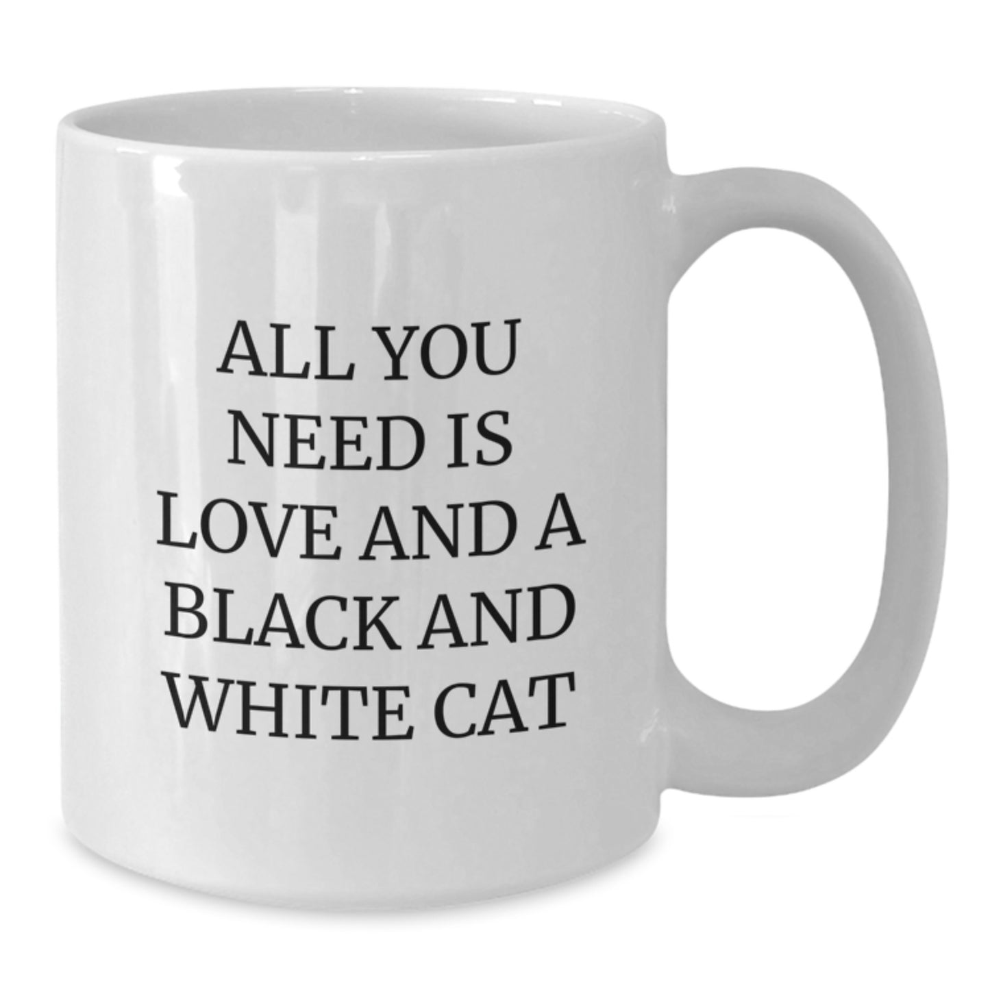 Funny Black and White Cat Love Gifts from Family to Friends - White Coffee Mug, All You Need Is Love And A Black And White Cat, Birthday Unique Gifts - Additional