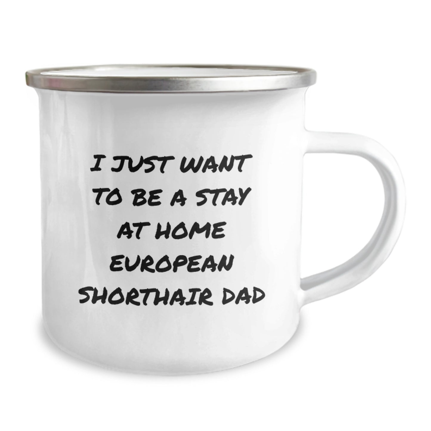 Funny European Shorthair Cat Dad Gifts from Men to Friends - I Just Want To Be A Stay At Home European Shorthair Dad - Birthday Unique Gifts for European Shorthair Cat Lovers - Image 2