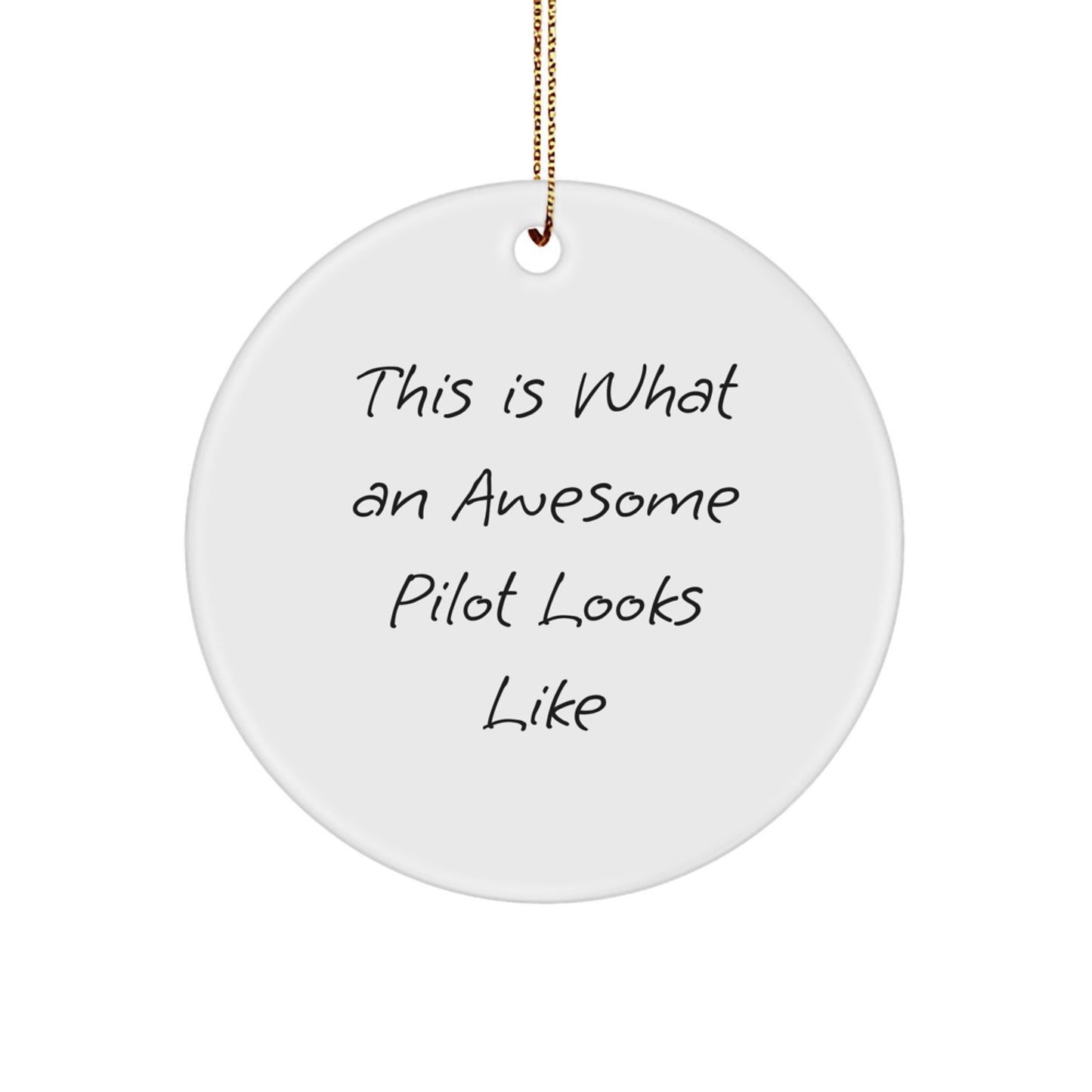 Pilot Gifts from Friends - This Is What An Awesome Pilot Looks Like Circle Ornament for Christmas - Pilot Circle Ornaments for Men or Women - Image 1