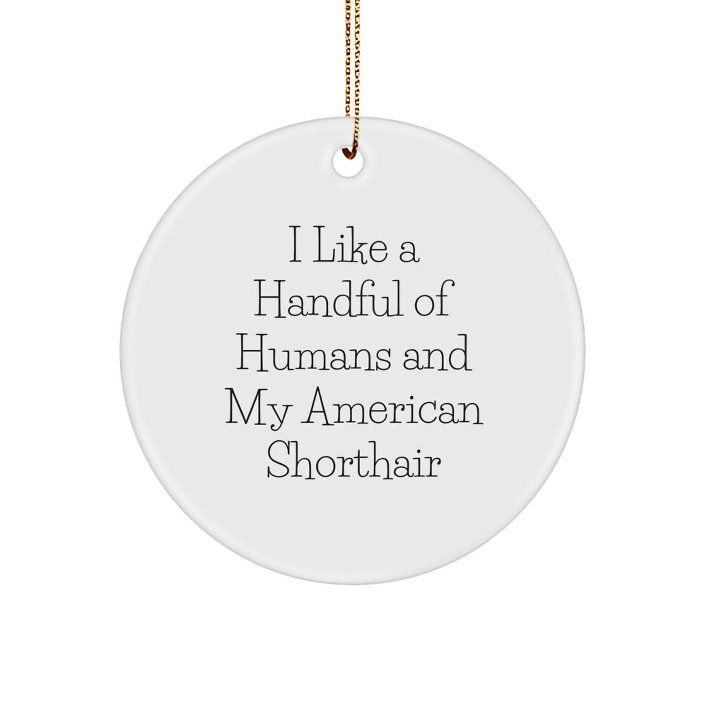 American Shorthair Cat Lovers' Circle Ornament, Funny Quote, White, Gifts for Family, Christmas Unique Gifts from Mom - Image 1