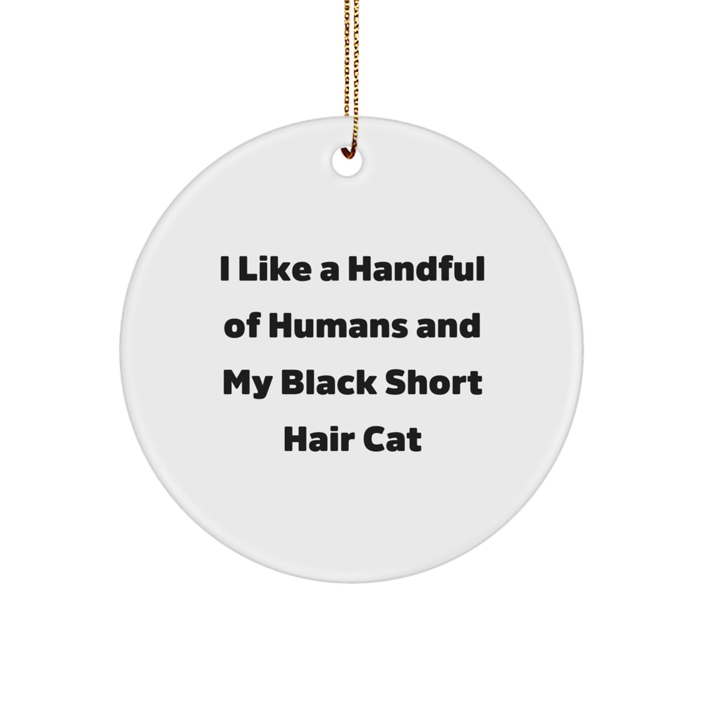 Funny Black Short Hair Cat Gifts from Friends for Christmas Circle Ornament, I Like A Handful Of Humans And My Black Short Hair Cat - Image 1