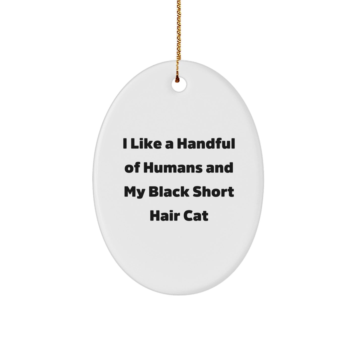 Black Short Hair Cat Lovers' Christmas Unique Gift - Oval Ornament with Funny Quote, Gifts from Friends to Family - Image 1