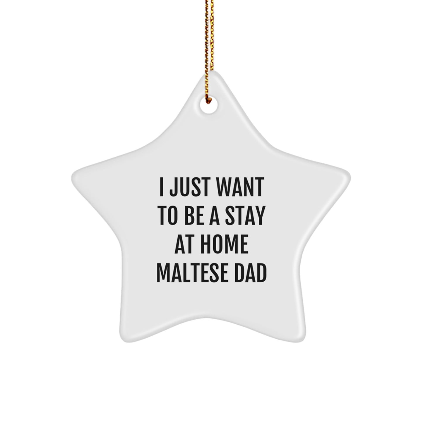 Maltese Dog Dad Star Ornament, Funny Gift from Men to Maltese Dog, I Just Want To Be A Stay At Home Maltese Dad Christmas Decorations Gifts for Maltese Dog Owners - Image 1