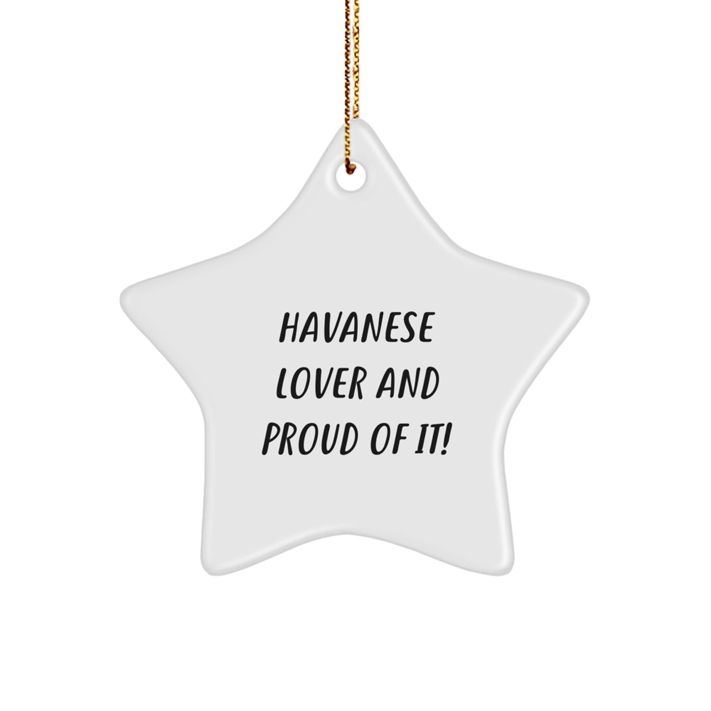 Havanese Dog Lover Gifts from Friends, Havanese Dog Star Ornament for Christmas, 'Havanese Lover And Proud Of It!' Quote, Gifts for Havanese Dog Enthusiasts - Image 1