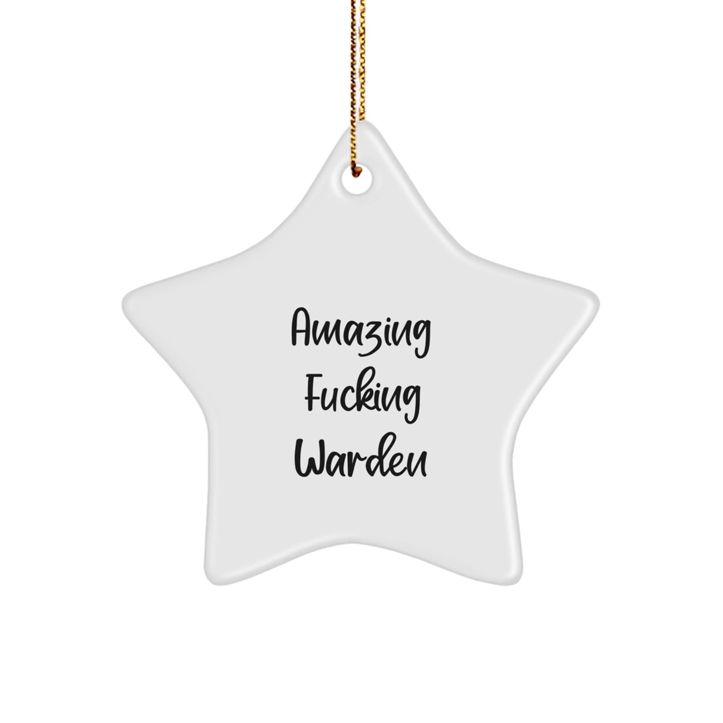 Funny Warden Gifts, Amazing Star Ornament for Warden Lovers, Christmas Decorations with Inspirational Quote - Image 1
