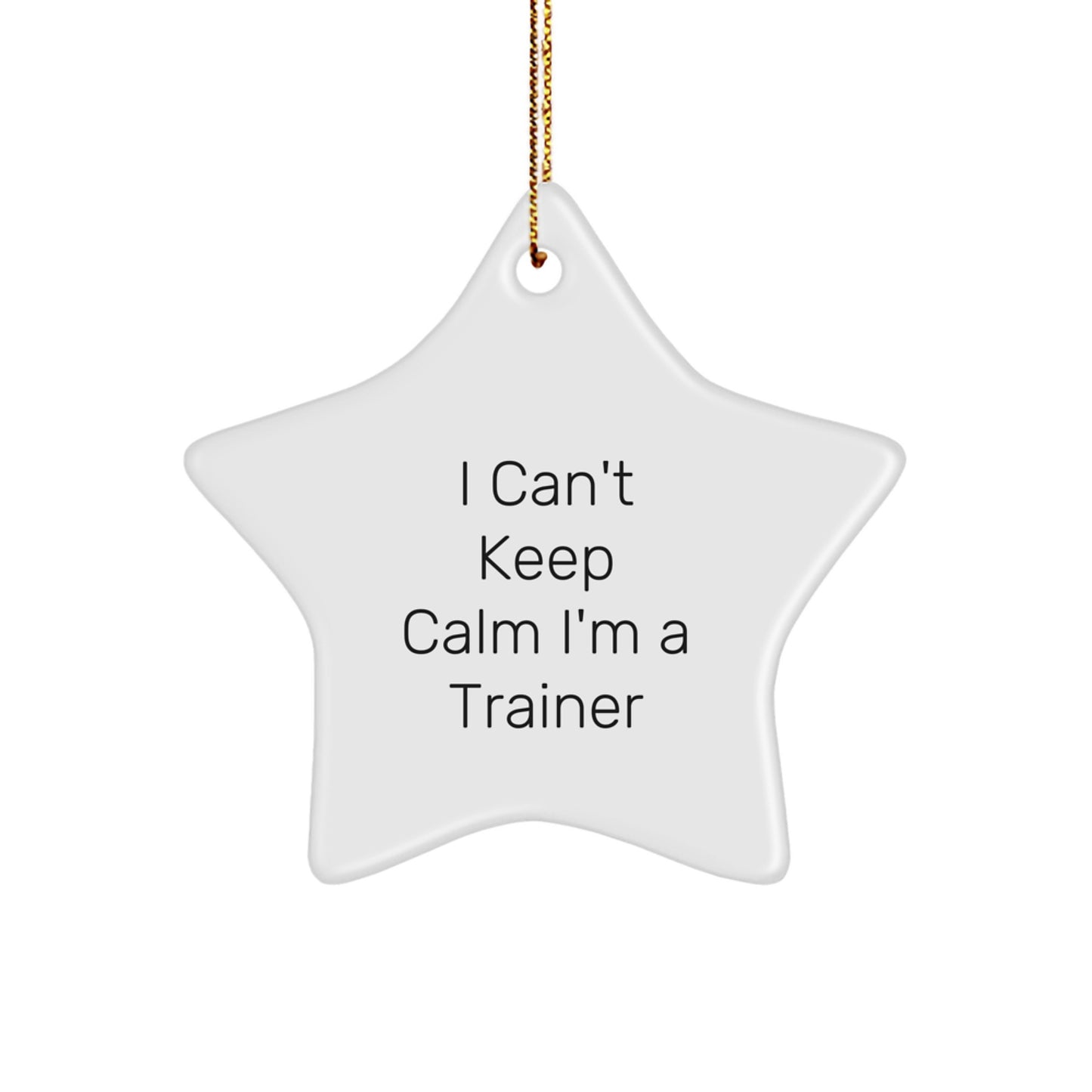 Funny Trainer Star Ornament, I Can't Keep Calm I'm A Trainer, Gift for Trainers, Christmas Unique Gifts from Friends, Coworkers, or Family - Image 1
