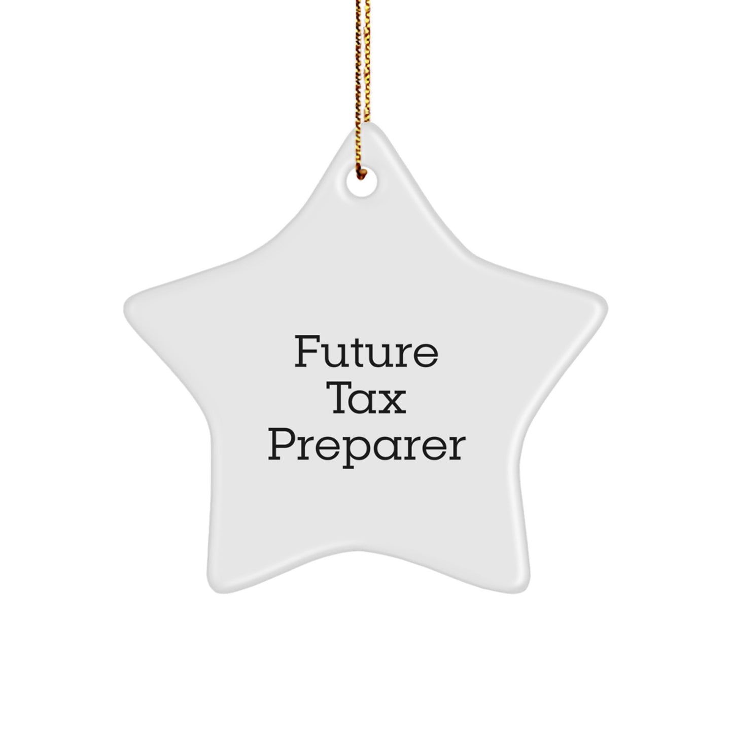 Funny Future Tax Preparer Gifts from Friends - Inspirational Star Ornament for Christmas - Image 1