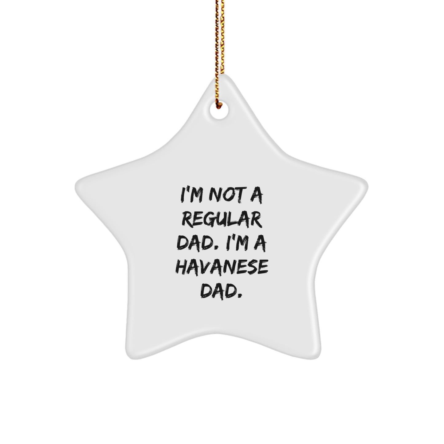 Havanese Dad's Funny Star Ornament Gift for Men from Friends, Havanese Dog Enthusiasts, and Family this Christmas - Image 1