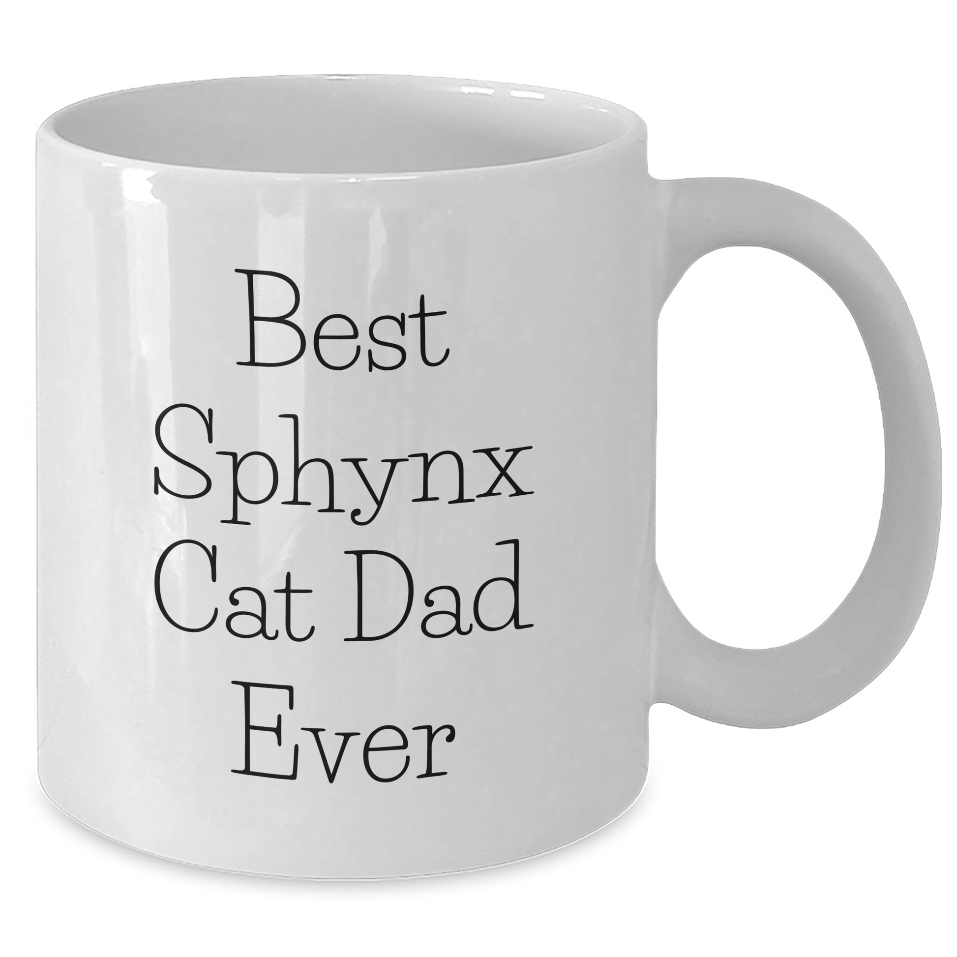 Funny Sphynx Cat Dad, Unique White Coffee Mug, Funny Gifts from Mom, Gifts for Sphynx Cat Lovers, Best Sphynx Cat Dad Ever, White Coffee Mug for Dad, Father's Day Unique Gifts - Additional