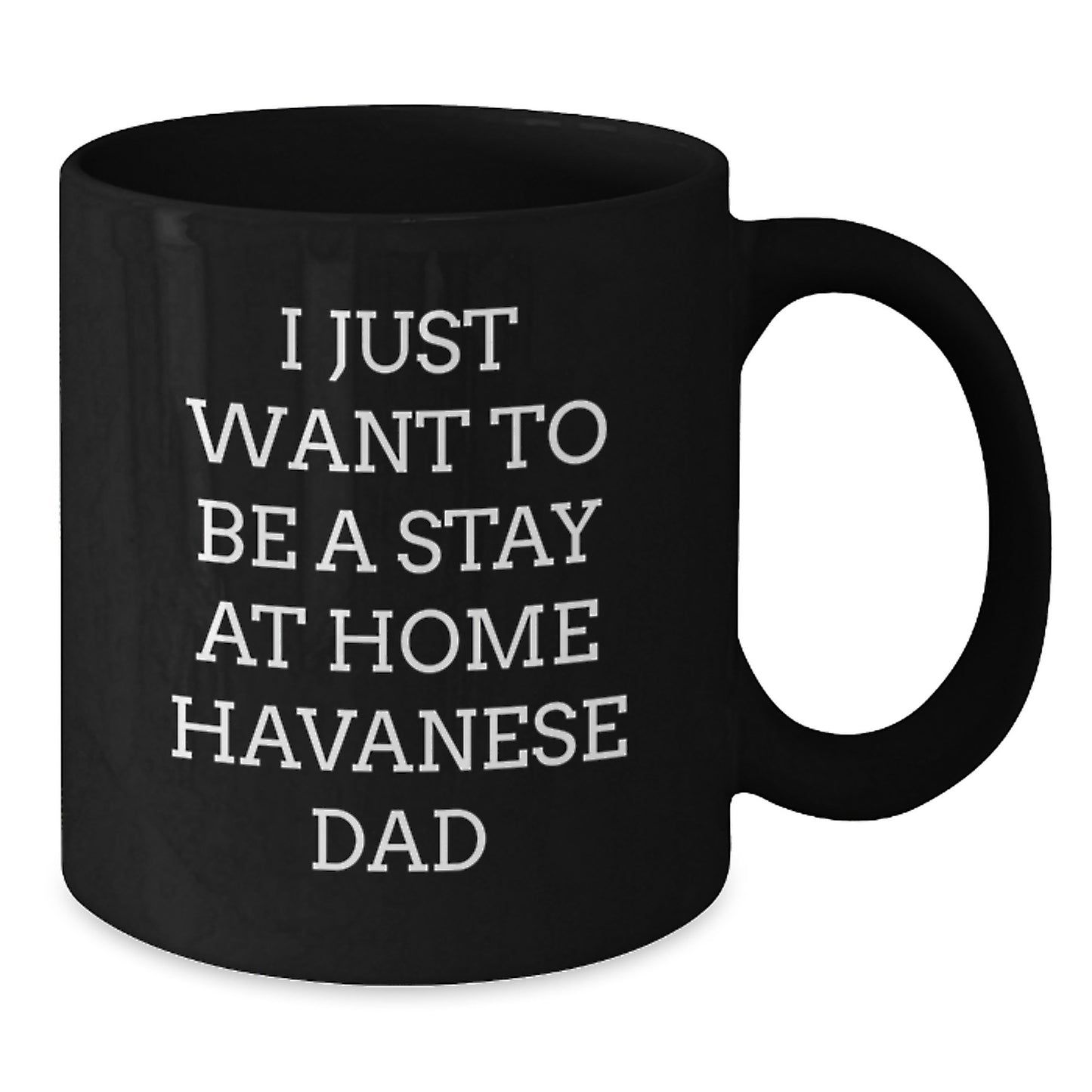 Funny Havanese Dog Gifts for Him, Black Coffee Mug with I Just Want To Be A Stay At Home Havanese Dad Quote, Perfect Graduation Gift from Dad to Friends, Family, or Coworkers - Additional