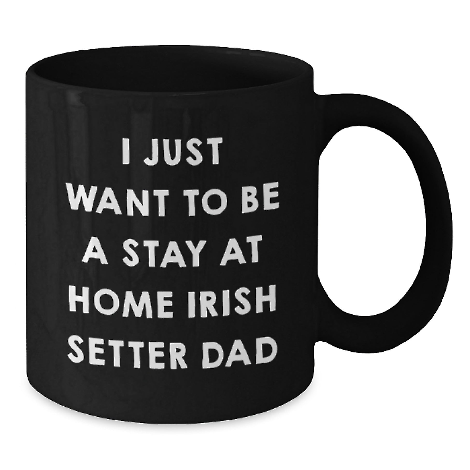 Funny Irish Setter Dog Gifts for Men, 'I Just Want To Be A Stay At Home Irish Setter Dad' Black Coffee Mug - Graduation Unique Gifts from Family, Friends, Coworkers - Additional