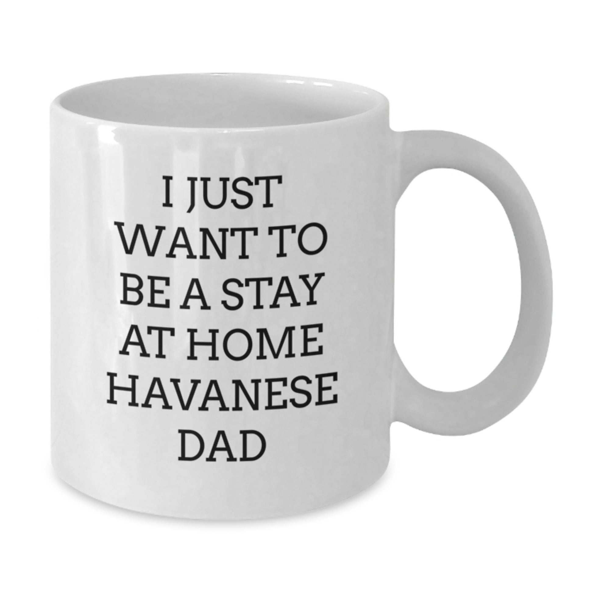 Havanese Dog Funny Gifts, White Coffee Mug for Graduation, I Just Want To Be A Stay At Home Havanese Dad, Gifts from Men, Gifts for Havanese Dog Lovers - Additional