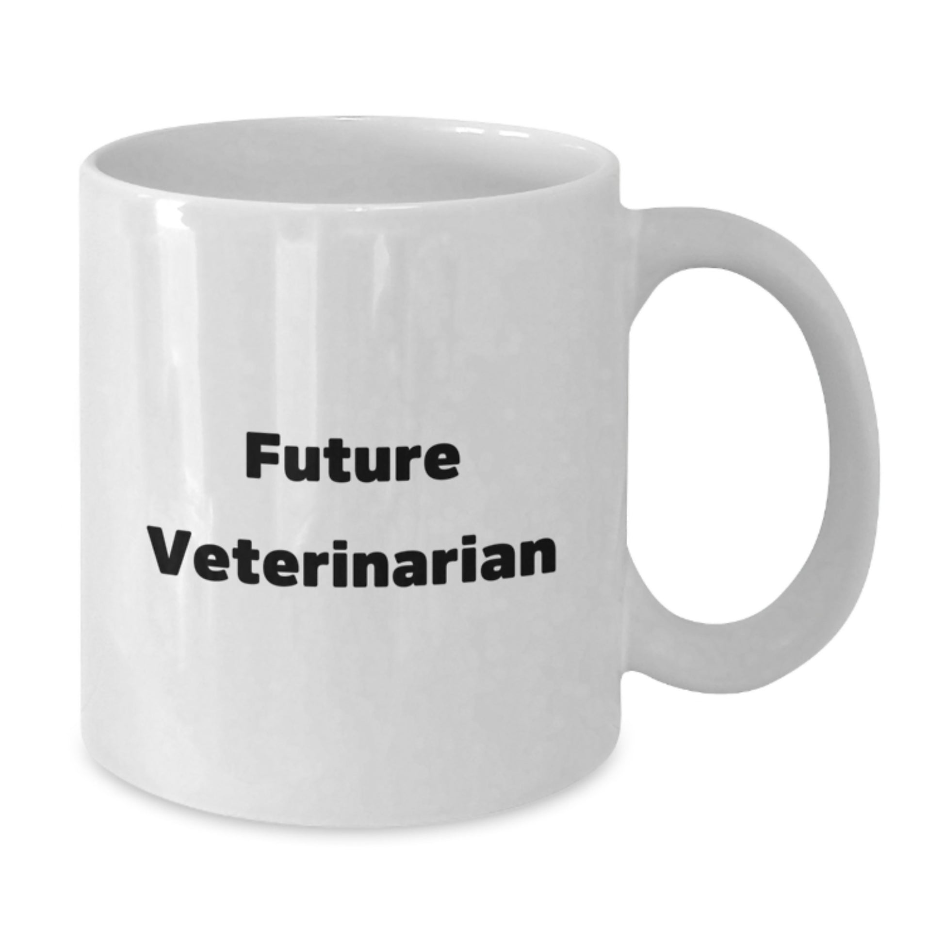 Funny Veterinarian Quote Gifts from Friends for Future Veterinarian Birthday Unique Gifts, White Coffee Mug - Additional
