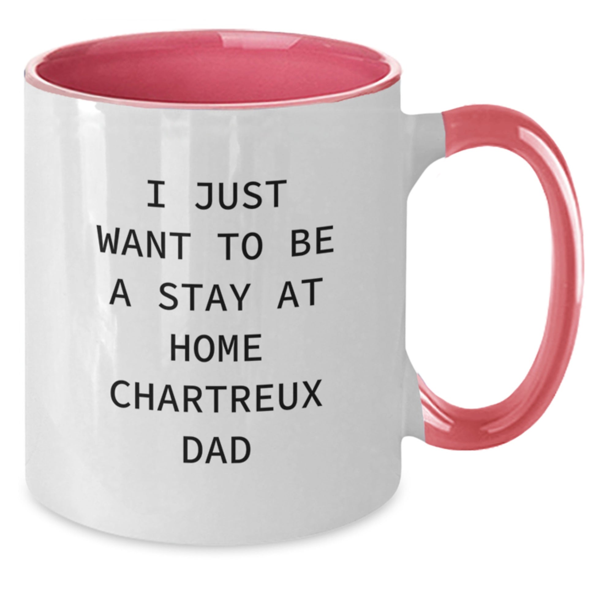 Funny Chartreux Cat Dad Gifts from Family for Graduation Unique Chartreux Cat Lovers Mugs - Additional