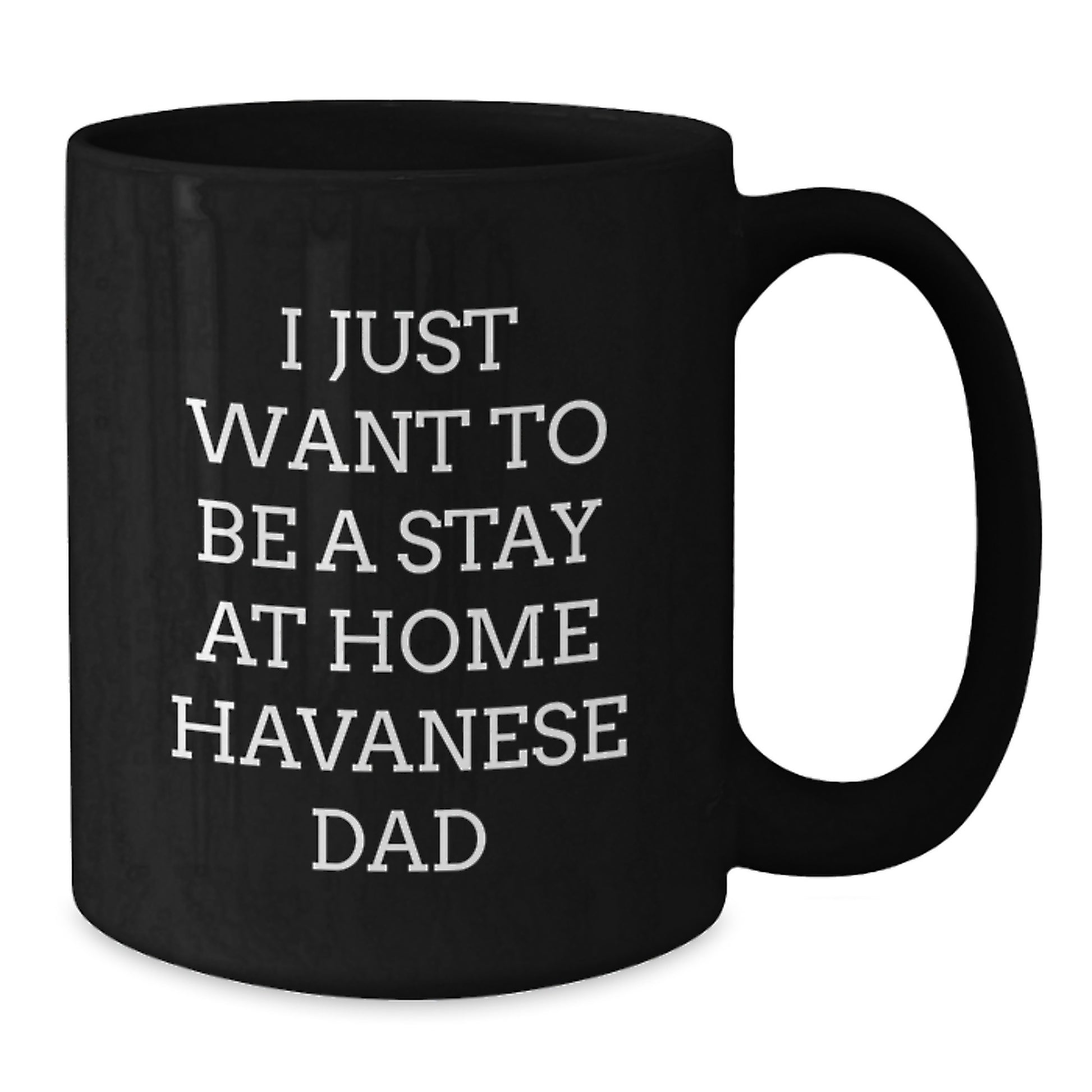 Funny Havanese Dog Gifts for Him, Black Coffee Mug with I Just Want To Be A Stay At Home Havanese Dad Quote, Perfect Graduation Gift from Dad to Friends, Family, or Coworkers - Additional