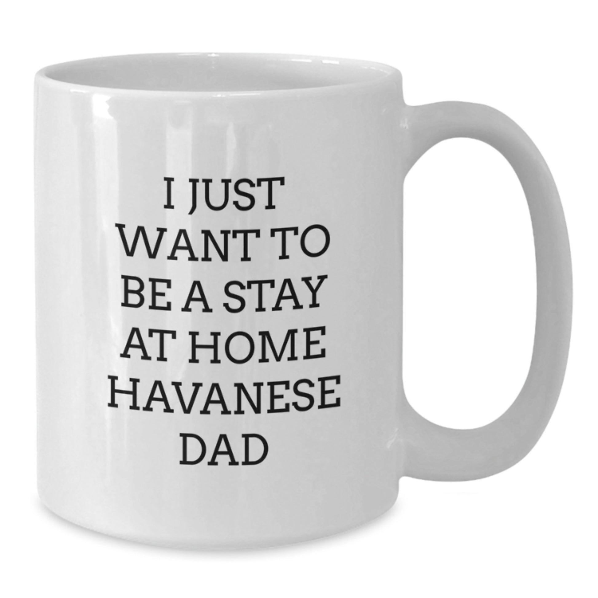 Havanese Dog Funny Gifts, White Coffee Mug for Graduation, I Just Want To Be A Stay At Home Havanese Dad, Gifts from Men, Gifts for Havanese Dog Lovers - Additional