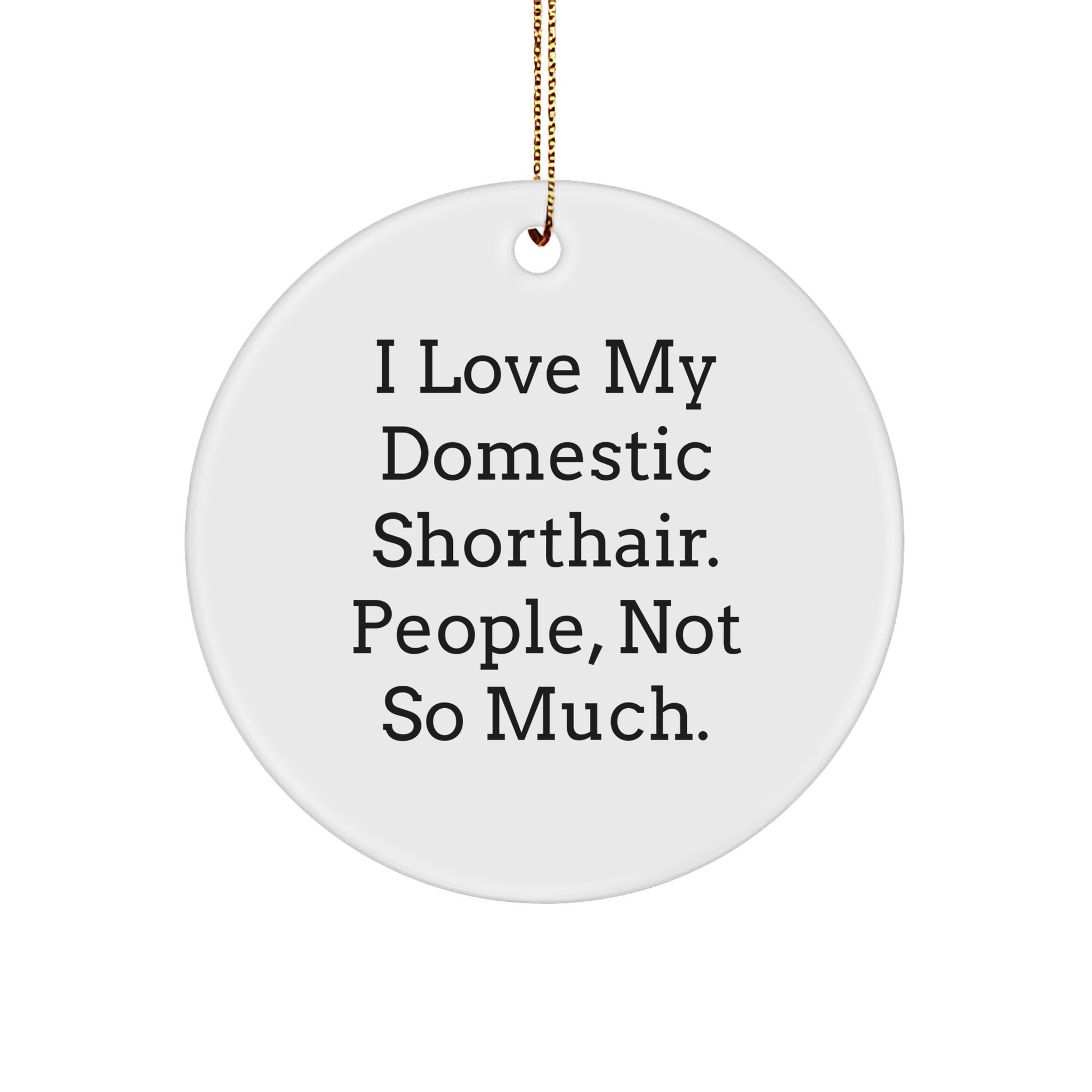 Funny Domestic Shorthair Cat Circle Ornament Gifts from Friends for Christmas - Image 1