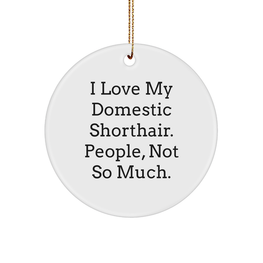 Funny Domestic Shorthair Cat Circle Ornament Gifts from Friends for Christmas - Image 1
