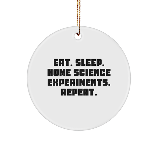 Home Science Experiments Gifts for Friends and Family - Eat. Sleep. Home Science Experiments. Repeat. - Christmas Circle Ornament - Image 1