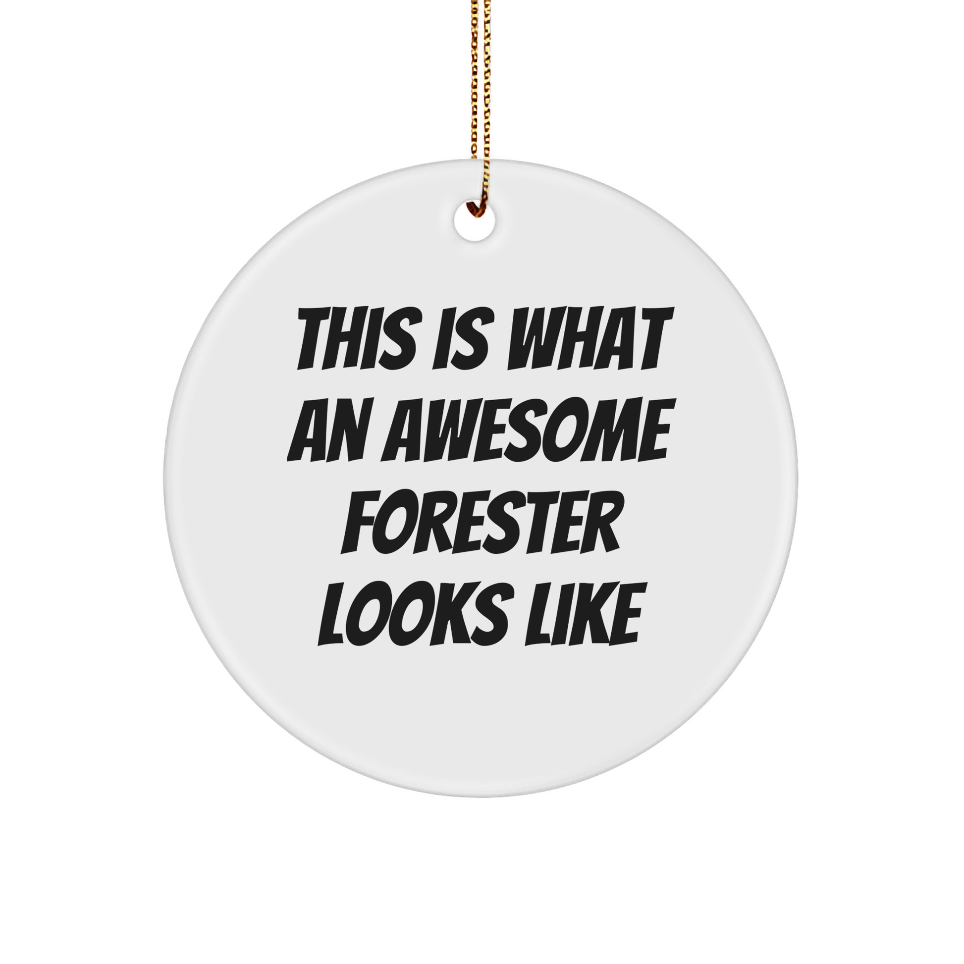 Inspirational Forester Gifts from Friends, Unique Circle Ornament This Is What An Awesome Forester Looks Like, Christmas Decorations for Men, Women, Family - Image 1