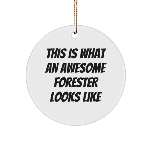 Inspirational Forester Gifts from Friends, Unique Circle Ornament This Is What An Awesome Forester Looks Like, Christmas Decorations for Men, Women, Family - Image 1