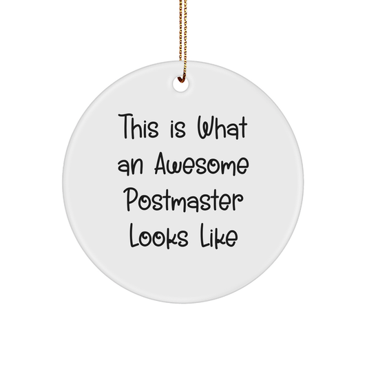 Funny Postmaster Gifts from Friends - 'This Is What An Awesome Postmaster Looks Like' Circle Ornament for Christmas - Image 1