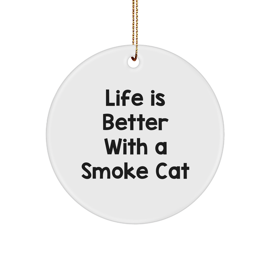 Funny Smoke Cat Circle Ornament Gifts from Friends, Perfect for Life Is Better With A Smoke Cat Lovers, Christmas Unique Gifts - Image 1