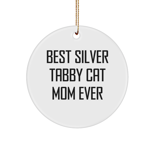 Funny Silver Tabby Cat Mom Gifts from Friends to Family - Unique Circle Ornament for Christmas Decorations - Image 1