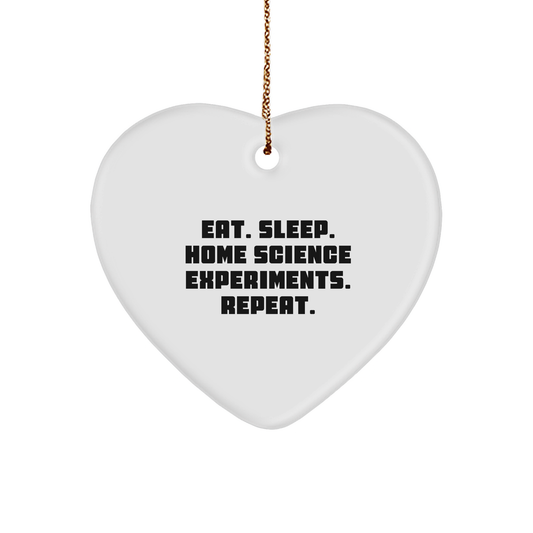Home Science Experiments Gifts from 'Eat. Sleep. Home Science Experiments. Repeat.' - Christmas Unique Heart Ornament for Home Science Experiments Enthusiasts, Friends, and Family - Image 1