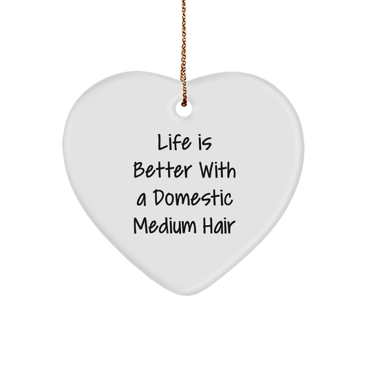 Domestic Medium Hair Cat Heart Ornament Gifts from Friends Christmas Unique - Image 1