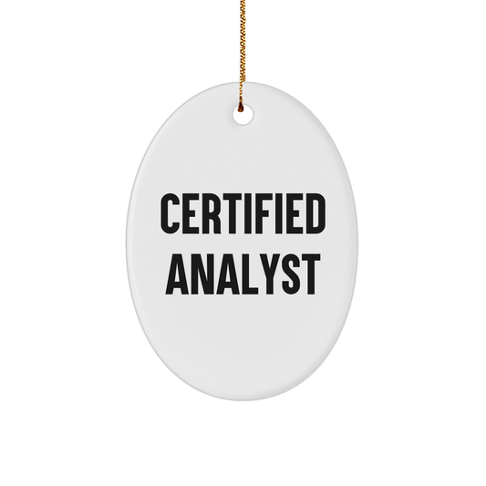 Funny Analyst Gifts, Oval Ornament with Inspirational Certified Analyst Quote, Christmas Unique Gifts from Friends for Coworkers, Oval Ornament for Analysts - Image 1