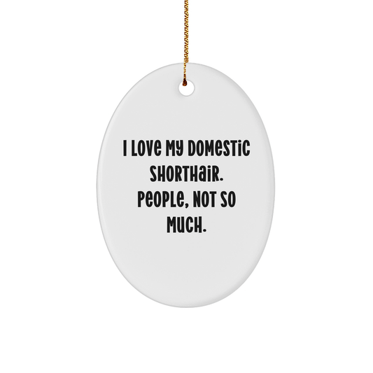 Domestic Shorthair Cat Gifts, Funny Quote Oval Ornament, Gifts from Friends for Family, Christmas Unique Gifts - Image 1