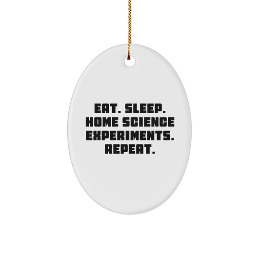 Home Science Experiments Gifts from Family - Eat. Sleep. Home Science Experiments. Repeat. Oval Ornament for Christmas - Image 1