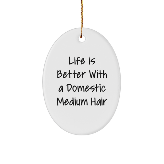 Domestic Medium Hair Cat Lover Gifts, 'Life Is Better With A Domestic Medium Hair', Oval Ornament, Christmas Ornament, Gifts from Family, Gifts for Domestic Medium Hair Cat - Image 1