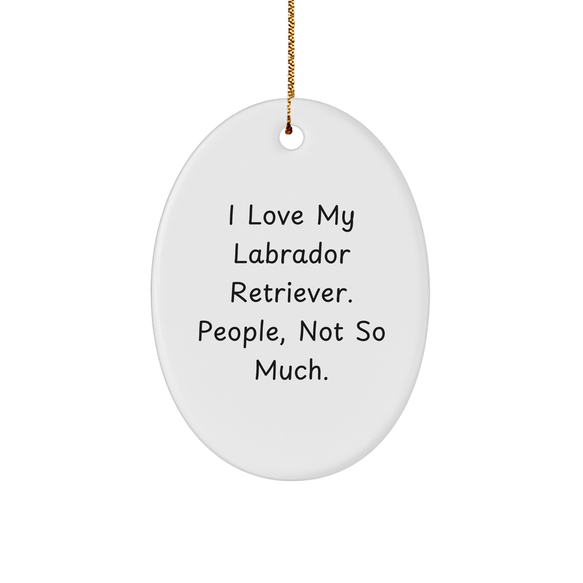 Labrador Retriever Dog Oval Ornament Gifts from Friends for Family Christmas Decor - Image 1