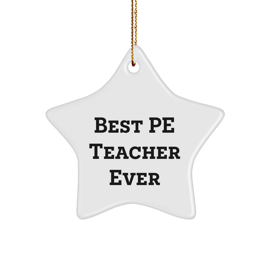 Funny PE Teacher Star Ornament Gifts from Friends for Best Pe Teacher Ever Christmas Unique Presents - Image 1