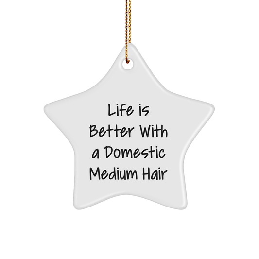 Domestic Medium Hair Cat Lover Gifts from Family, 'Life Is Better With A Domestic Medium Hair' Star Ornament for Christmas - Image 1