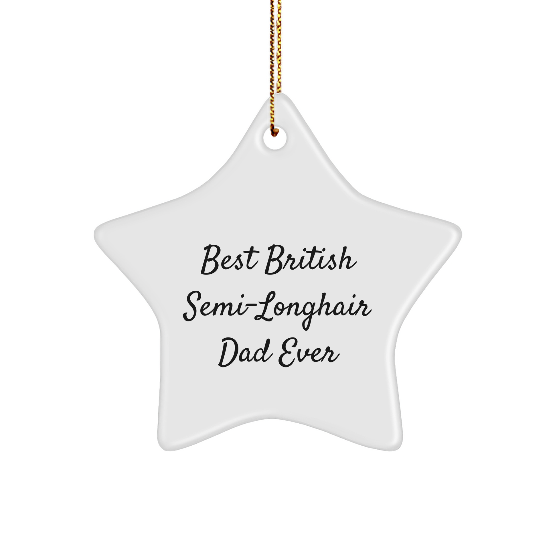 Funny British Semi-Longhair Cat Star Ornaments Gifts from Dad to British Semi-Longhair Cat - Image 1