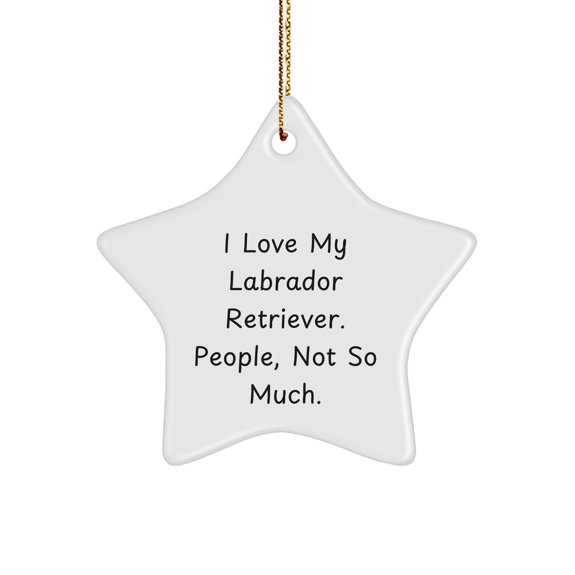 Labrador Retriever Dog Lover's Funny Star Ornament, Gifts from Friends to Family, Unique Christmas Decoration - Image 1