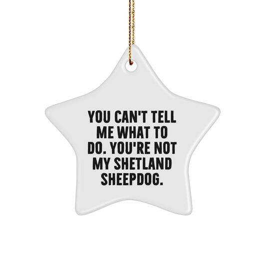 Funny Shetland Sheepdog Gifts, Inspirational Star Ornament, Gifts from Friends for Shetland Sheepdog Lovers, Christmas Unique Gifts - Image 1
