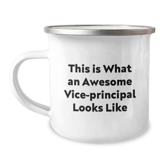 Funny Vice-Principal Gifts, Inspirational Quote Camping Mug for Graduation, Gifts from Friends, Perfect Vice-Principal Appreciation Gifts for Men or Women - Image 1