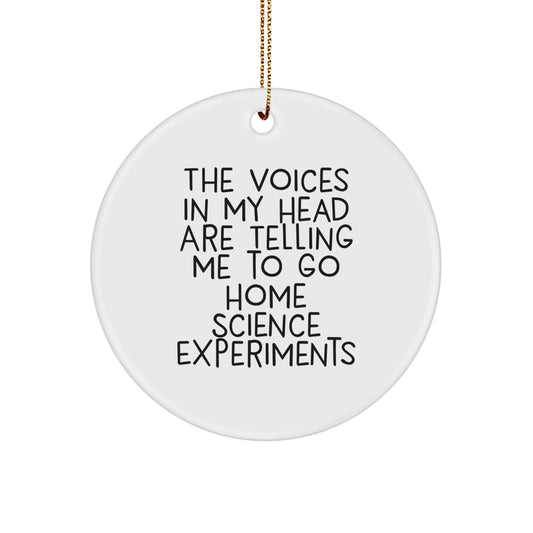 Funny Home Science Experiments Gifts, 'The Voices In My Head Are Telling Me To Go' Circle Ornament for Friends, Family, Coworkers, or Home Science Enthusiasts, Christmas Unique Gifts - Image 1