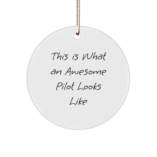 Pilot Gifts from Friends - This Is What An Awesome Pilot Looks Like Circle Ornament for Christmas - Pilot Circle Ornaments for Men or Women - Image 1