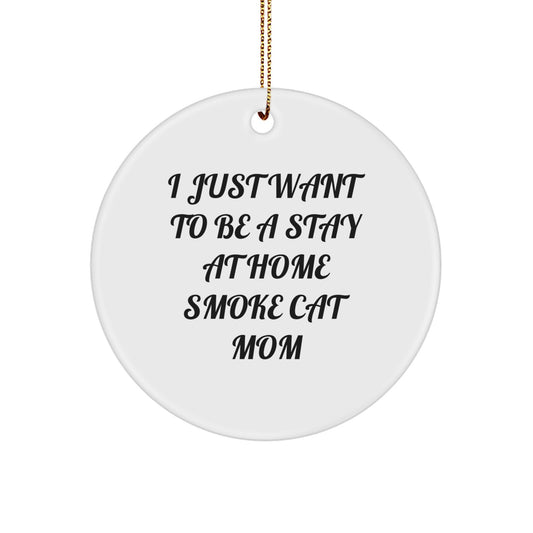 Funny Smoke Cat Mom Gifts from Friends for Smoke Cat Enthusiasts, Circle Ornament Quote 'I Just Want To Be A Stay At Home Smoke Cat Mom' for Christmas Unique Gifts - Image 1