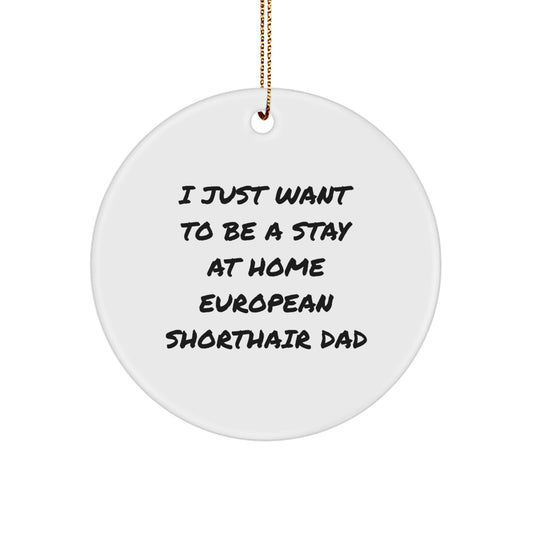 European Shorthair Cat Dad's Funny Christmas Unique Gift, 'I Just Want To Be A Stay At Home European Shorthair Dad' Circle Ornament Gifts from Family to Friends - Image 1