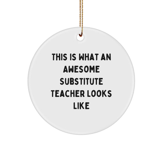 Funny Christmas Unique Gifts for Substitute Teachers - This Is What an Awesome Substitute Teacher Looks Like Circle Ornament Gifts from Friends, Family, Coworkers - Image 1