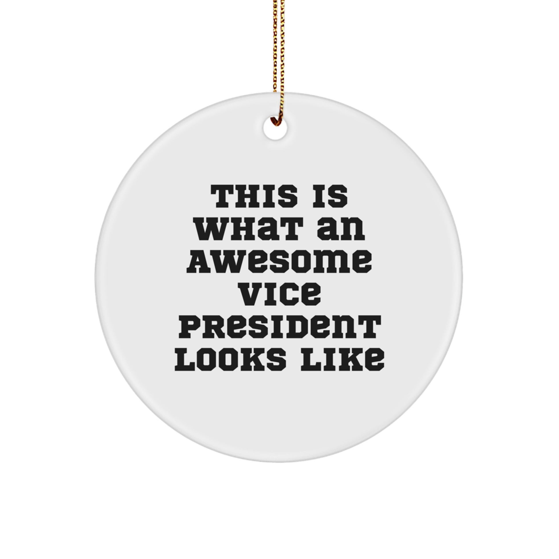 Funny Vice President Gifts, This Is What An Awesome Vice President Looks Like, Circle Ornament, Christmas Unique Gifts from Friends to Vice President - Image 1