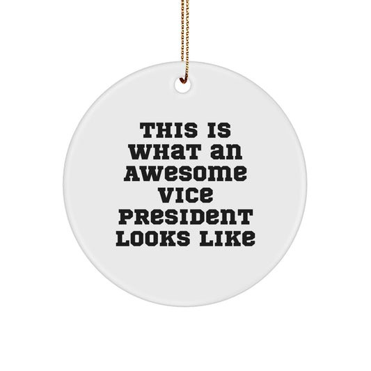 Funny Vice President Gifts, This Is What An Awesome Vice President Looks Like, Circle Ornament, Christmas Unique Gifts from Friends to Vice President - Image 1