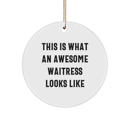 Funny Waitress Gifts from Men to Awesome Waitresses, 'This Is What An Awesome Waitress Looks Like' Circle Ornament for Christmas - Image 1