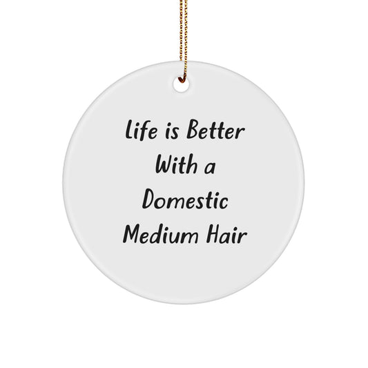 Domestic Medium Hair Gifts from Family - Life Is Better With A Domestic Medium Hair Circle Ornament for Christmas - Image 1